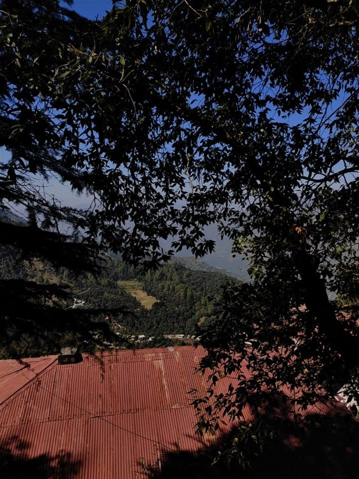 A green valley seen through tree branches above a red roof.