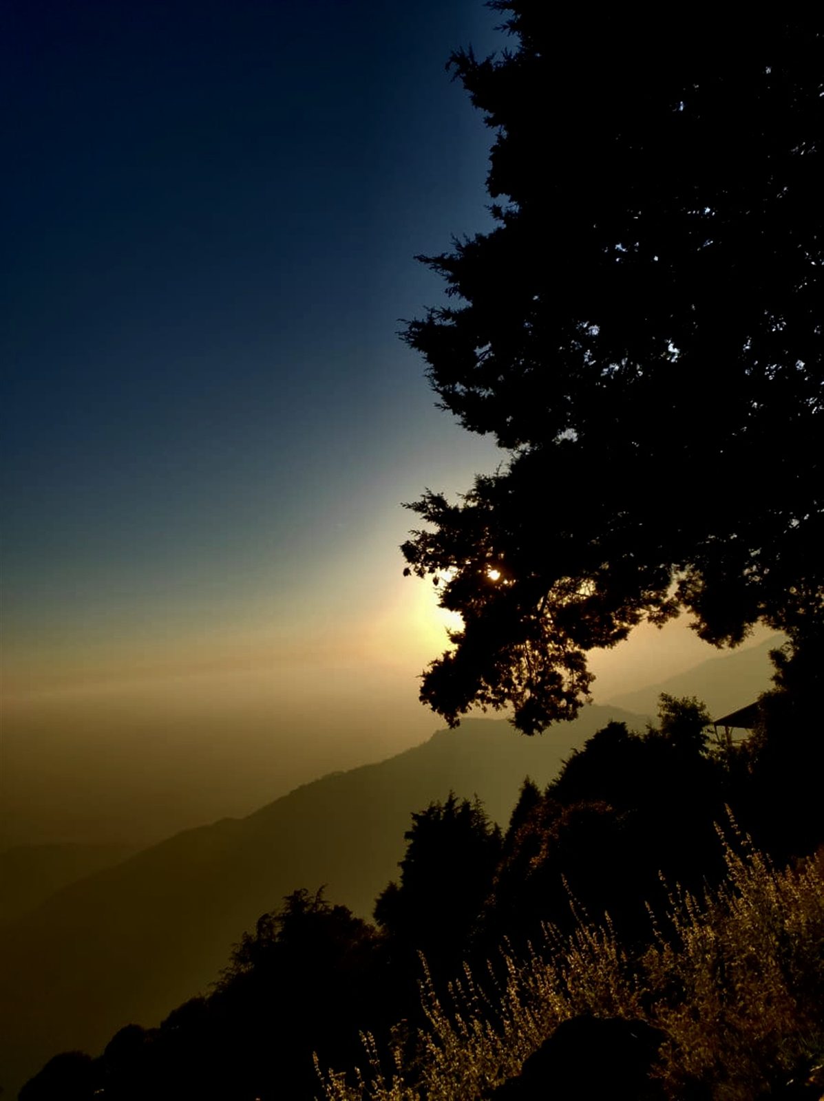 The sun slipping through a pine tree above layered mountain ridges.
