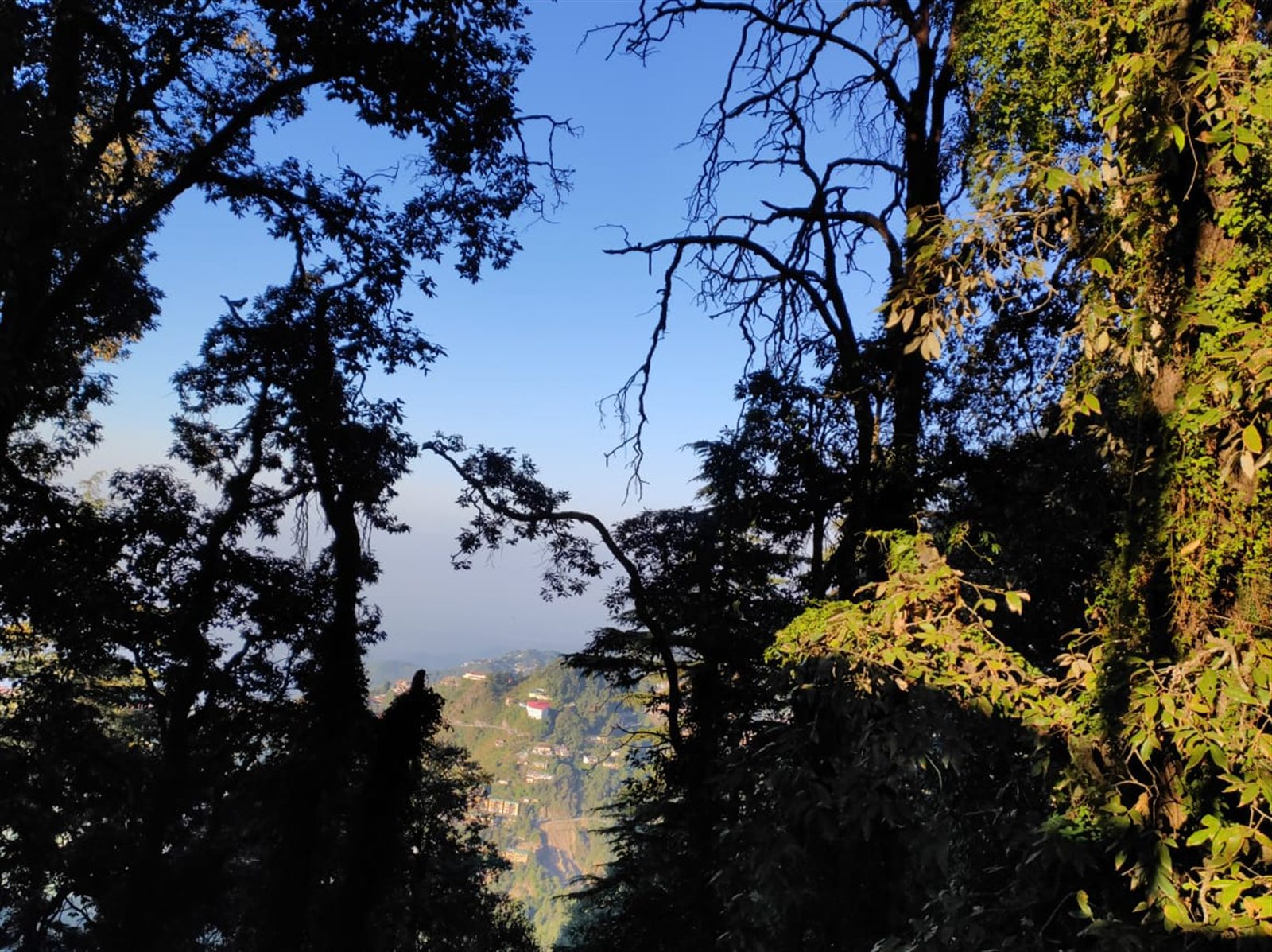 A distant hillside settlement seen through a frame of trees.