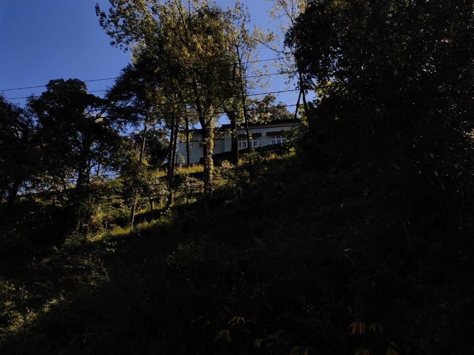 A house set on a wooded hillside in afternoon light.